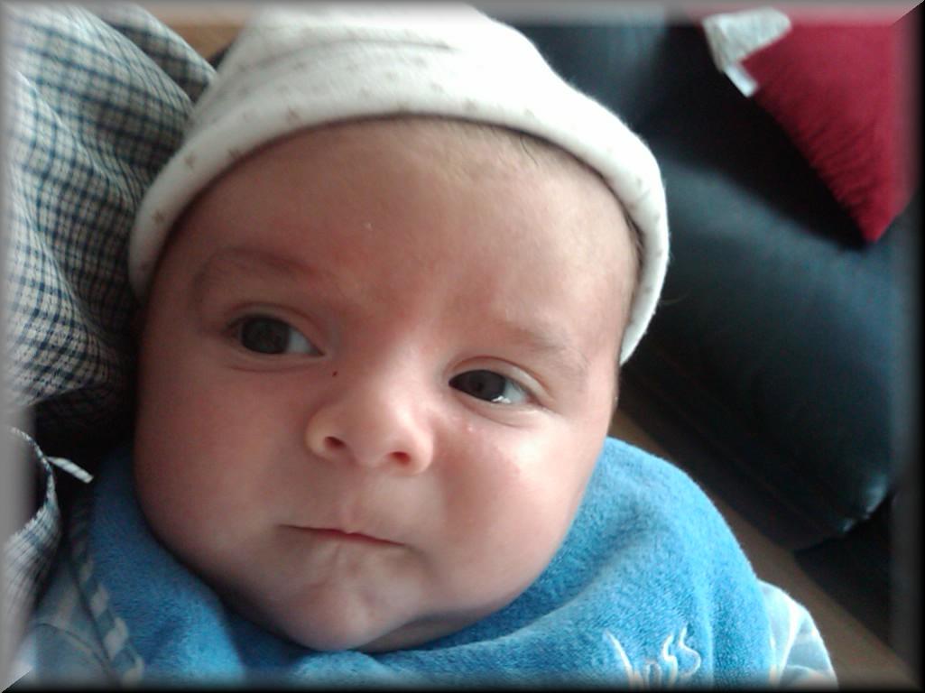 IMG00084-20100110-1451