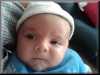 IMG00084-20100110-1451